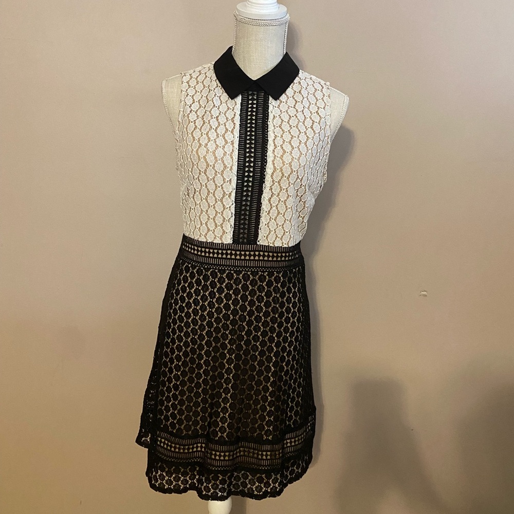 JustFab Black and White Lace Detail